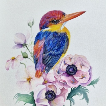 Dream of colorful bird