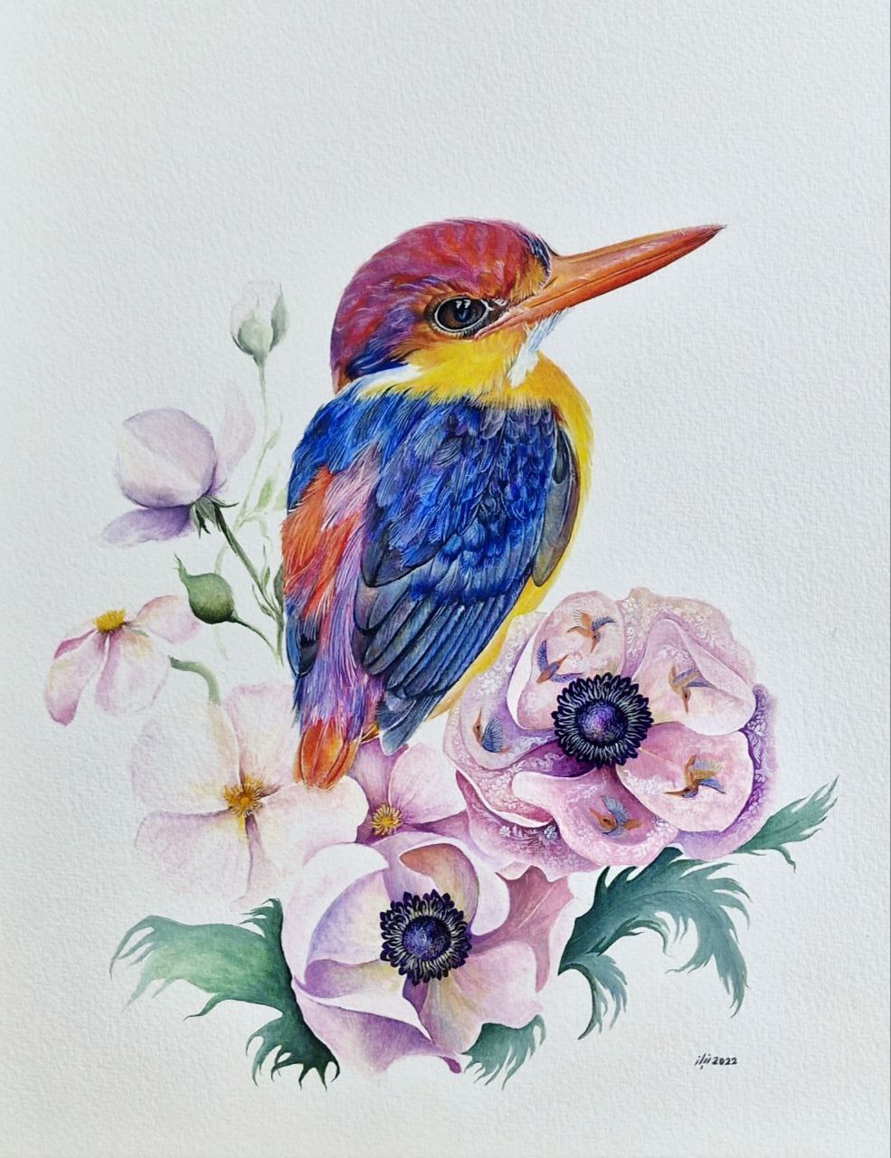 “DREAM OF COLORFUL BIRD”