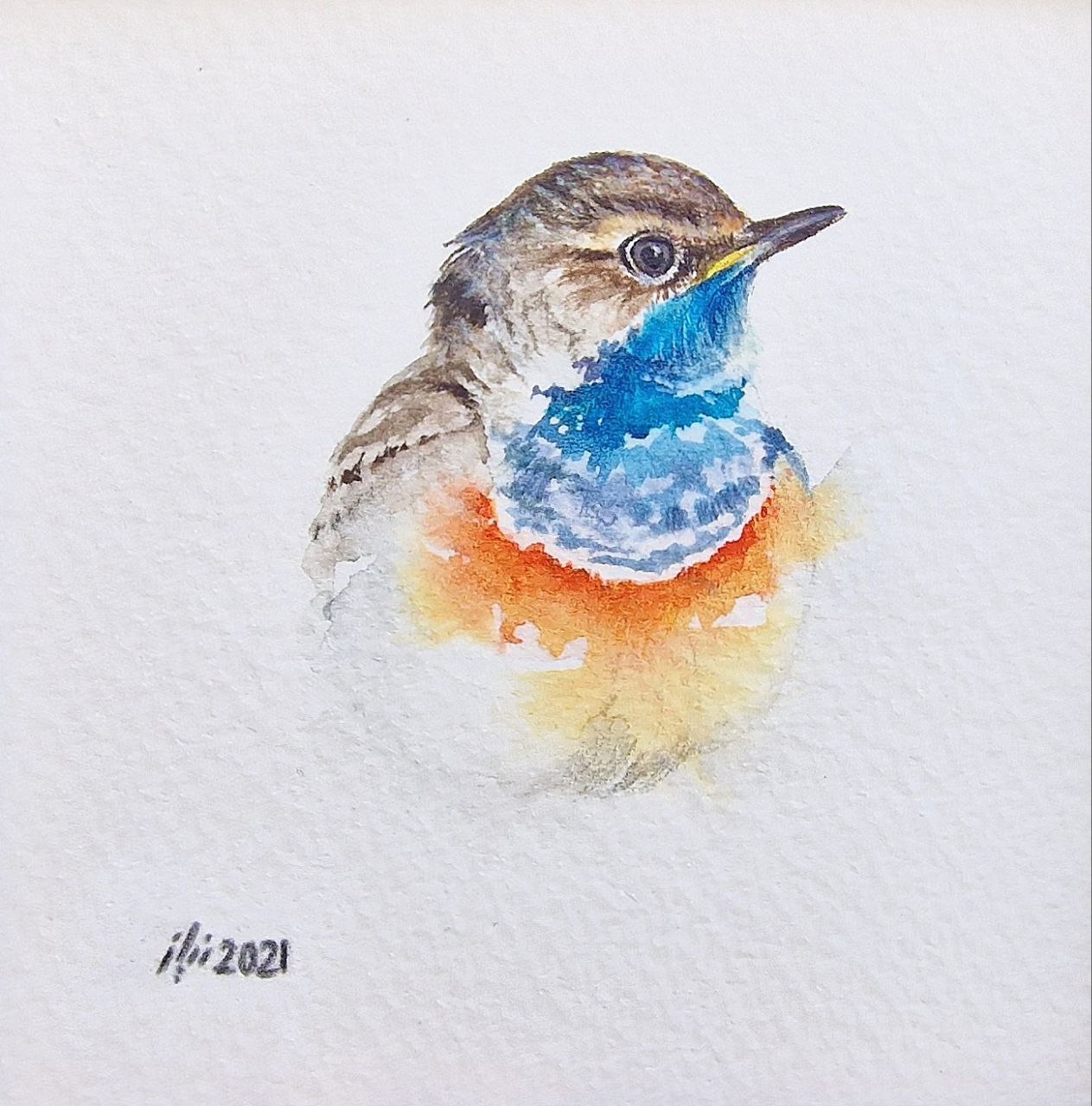 From the “Little birds” collection