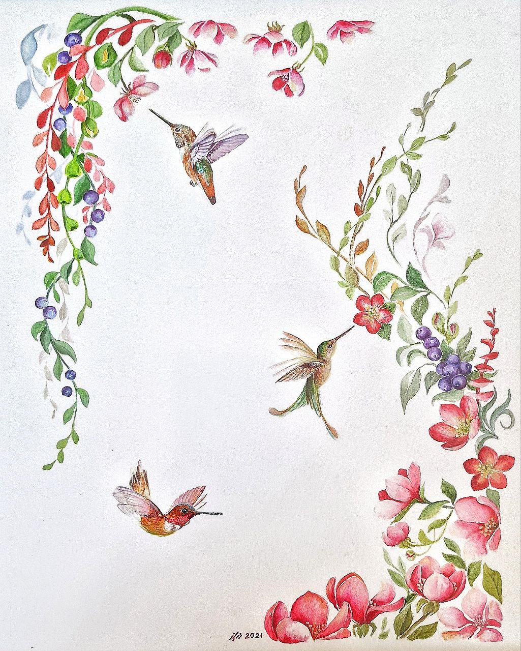 Humming Birds in the garden