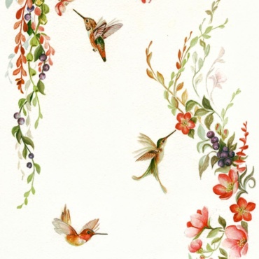 Humming birds flying