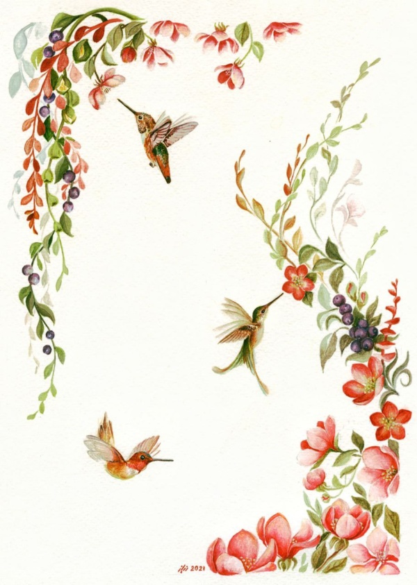 Humming birds flying