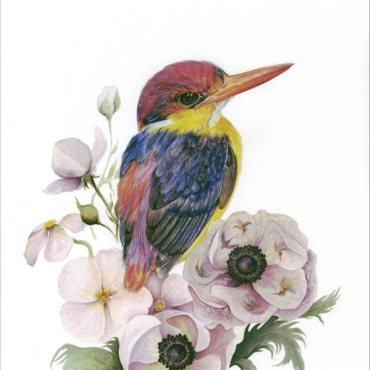 Fine art print of Dream of colorful bird