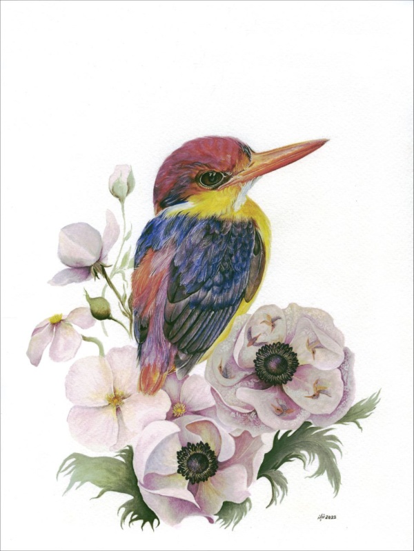 Fine art print of Dream of colorful bird