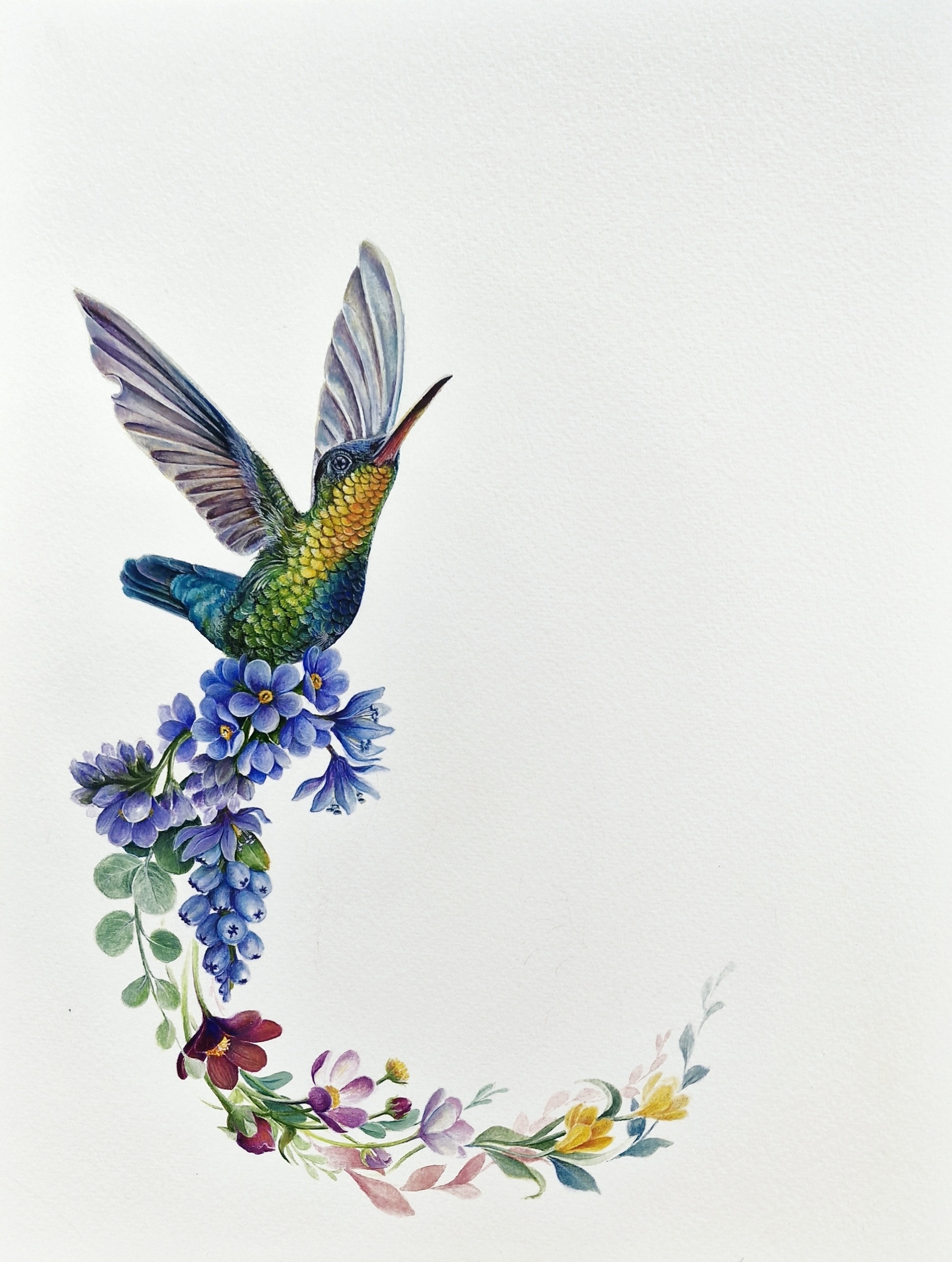 HUMMING COLORFUL BIRD