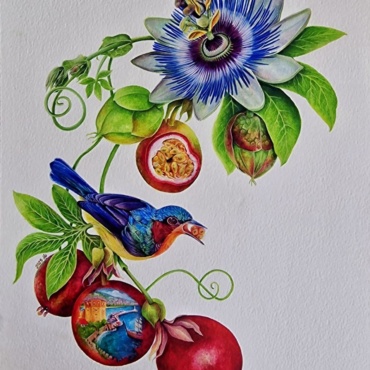 Passion fruit blooming