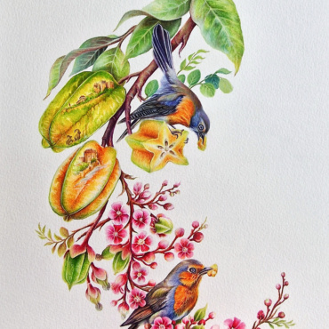 “Blossoming of the Star Fruit” from the series “Blossoming of Life in Alanya”