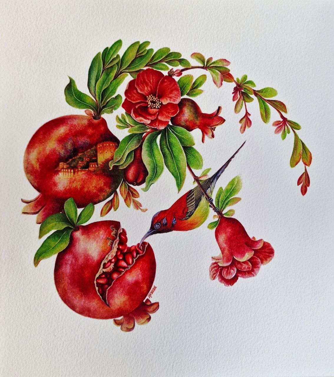 Blossoming of the Pomegranate